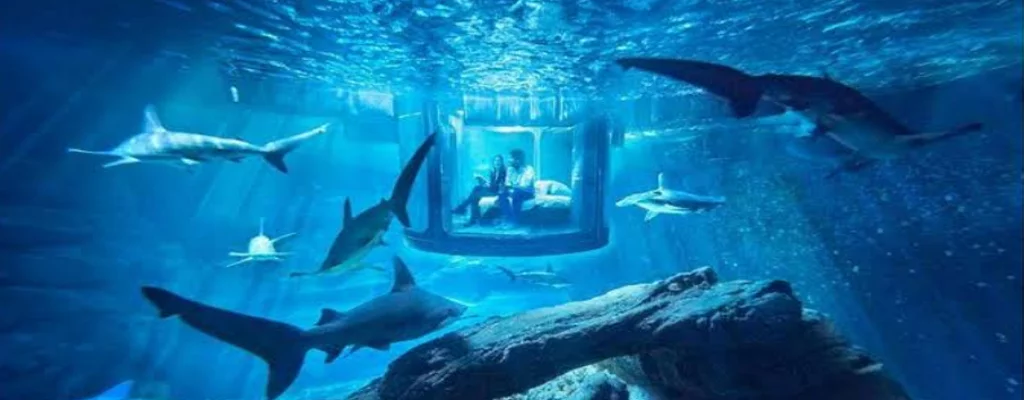 Atlantis The Palm Jumeirah in UAE