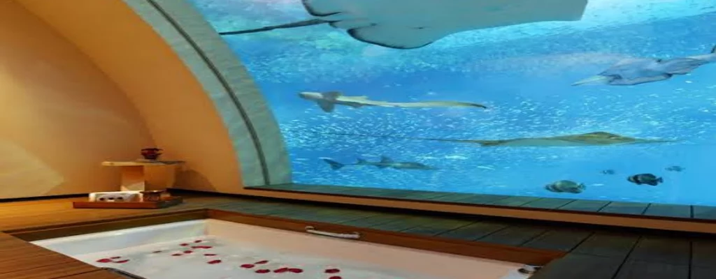 Atlantis The Palm Jumeirah in UAE