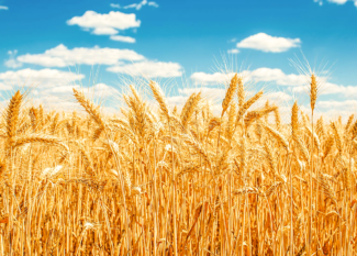 dubai international airport dxb dubai,dubai creek harbour,desert safari dubai, cheap hotels in dubai,cheap hotels in dubai,dubai metro timings